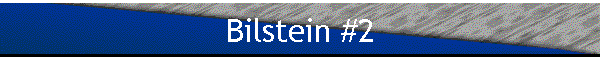 Bilstein #2